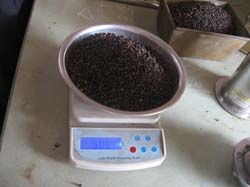 BP 500gl-weight BP 500gl-weight